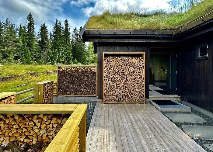 High Standard At Sauna, Hot Tub & Trails Right Outside Ferienhaus Sjusjøen